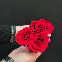 Lade das Bild in den Galerie-Viewer, Rosenbox Little Heart mit 3 Infinity Rosen