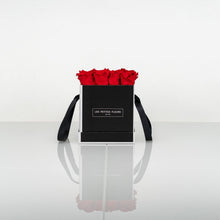 Lade das Bild in den Galerie-Viewer, Rosenbox Classic Beauty mit 9 - 12 Infinity Rosen - Les Petites Fleurs