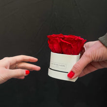 Lade das Bild in den Galerie-Viewer, Rosenbox Little Heart mit 3 Infinity Rosen