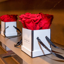 Lade das Bild in den Galerie-Viewer, Rosenbox Little Beauty mit 4 Infinity Rosen