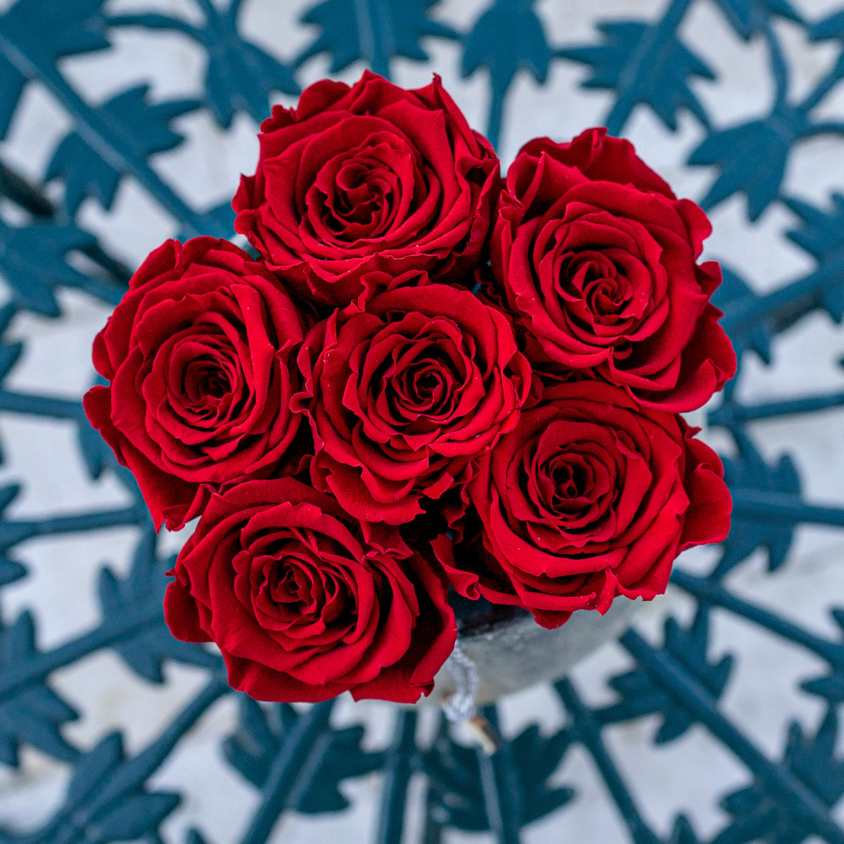 Infinity Rosen in einer Vase 